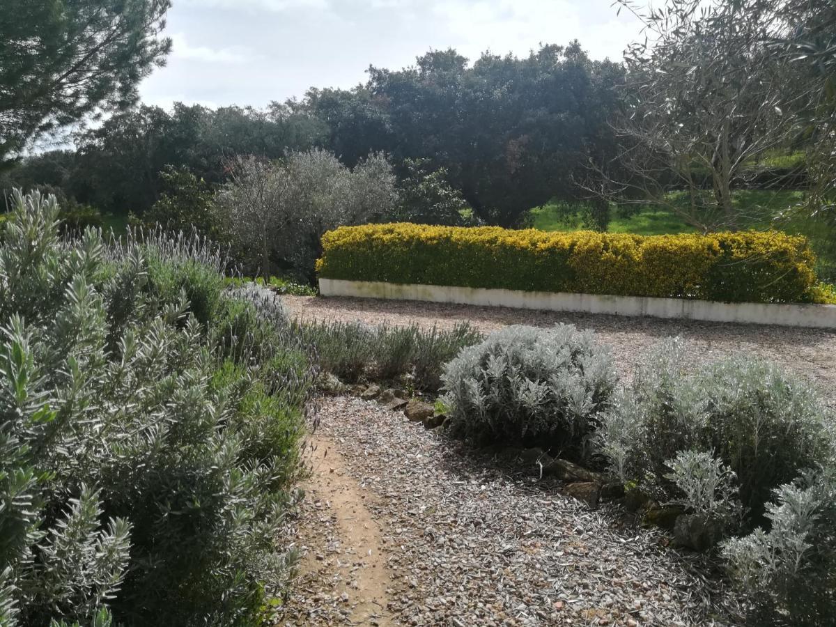 Quinta Do Cano Evora Exterior photo